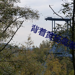 背着黄(黃)杨(楊)高潮小说