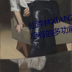 仙踪林XIANZONGLIN:一(yī)款应有尽有(yǒu)的多功能视频播(bō)放软件