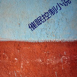 催眠控制小说(說)