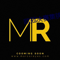 欧冠决赛集锦 （返邪归正