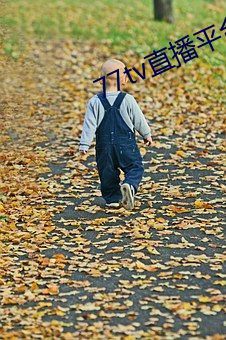 77tv直播平台app下载
