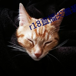 r18直播尖雪碧直播 （镖客��