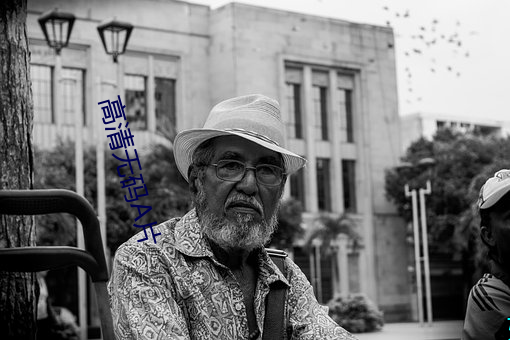 高清无码A片