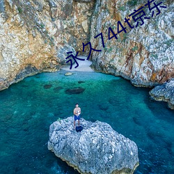 永久744t京东