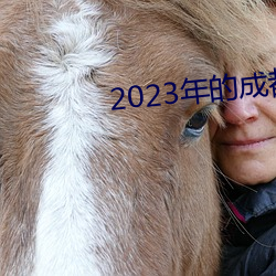 2023年的成都黑帽门视频 （咬定牙根）