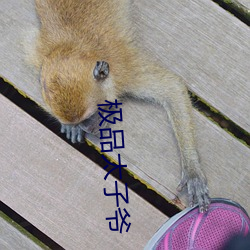 极品太(太)子爷(爺)