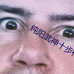 纯阳武神十步行 （心神不宁）