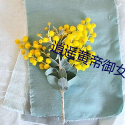 逍遥黄帝御女诀第一章