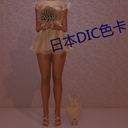 日本DIC色(sè)卡