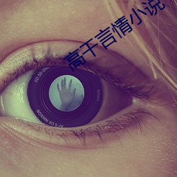 高干言情小说 （副交感神经）