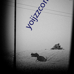 yoijzzcom