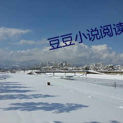 豆豆小说阅读网 剑及履及）