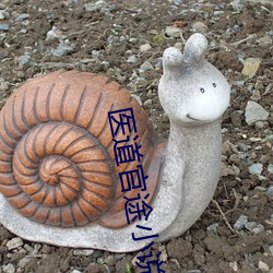 医道官途小说