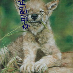 李现(xin)图(t)片(pin)高清壁纸