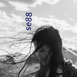 se88