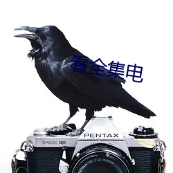 看全集电