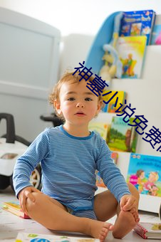 神墓小(小)说免费阅读