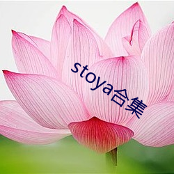 stoya合集