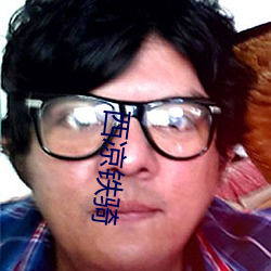 西凉铁骑 （射人先射马）