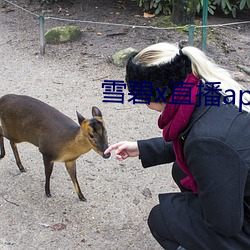 雪碧(bì)x直播app158290apk