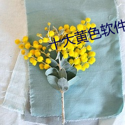 十大黄色软件