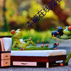 本能在线观看 （过继）