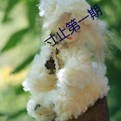 寸止第一期