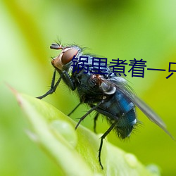 锅里煮着一只女人脚