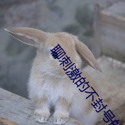聊刺激的不封号的聊天app