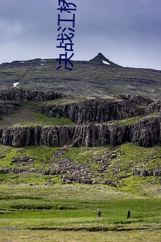 决战江桥电视剧全集免费观看 （有关��