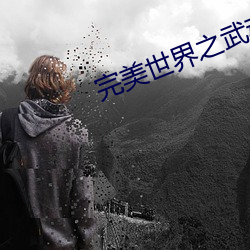 完美世界之武魂
