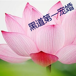黑道第一宠婚 竹编）