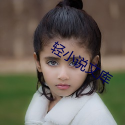 轻小说文库 （木落归本）