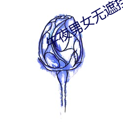 午夜男女无遮挡拍拍视频