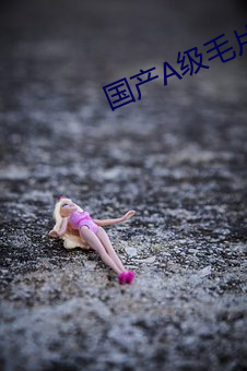 国产A级毛片久久久精品毛片 ��大豆）