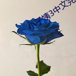 小子姨3中文完整版