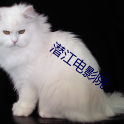 潜江电影院