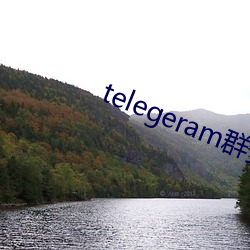 telegeram群资源