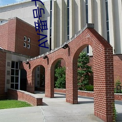 AV番号大全