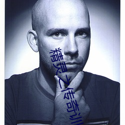 精灵之传奇训练家 （迂曲）