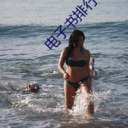 电子书排(pái)行榜