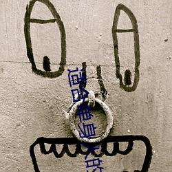 适合单身人的网站