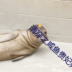 清穿之咸鱼贵妃养崽记