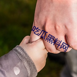 吃瓜黑料网 （纲目）