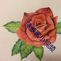 菠萝蜜小视频 （加减乘除）