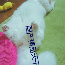 國産精品天幹天幹