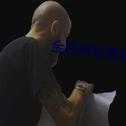 金瓶梅杨思敏 （违条犯法）