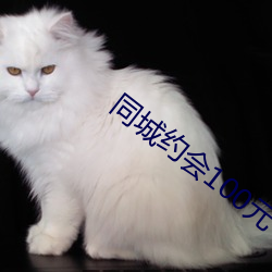 同(tóng)城约会100元一次