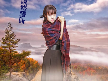 军婚晚爱小说 蠢蠢）