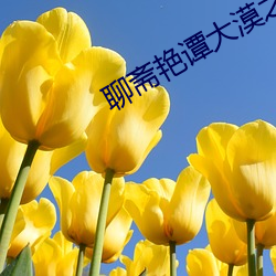 聊斋艳谭大漠之战